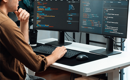 Custom Enterprise Solutions