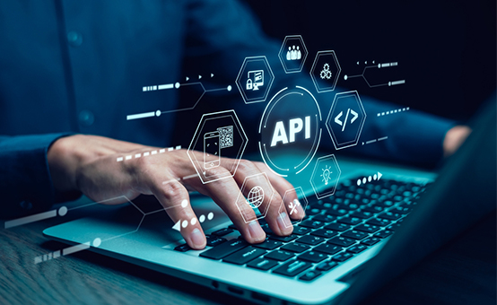 Custom Enterprise Solutions